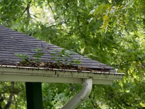 Clogged gutter before cleaning