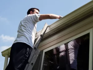 Gutters full of debris needing cleaning